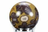 Polished Morgan Hill Poppy Jasper Sphere - California #360366-1